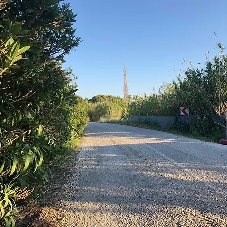 Radika Kir Evi منزل ريفي بوزجادا
