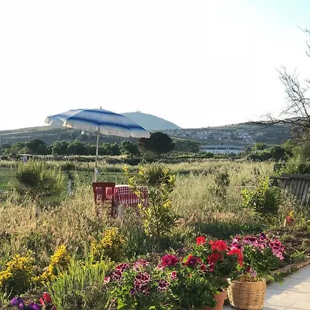 Radika Kir Evi