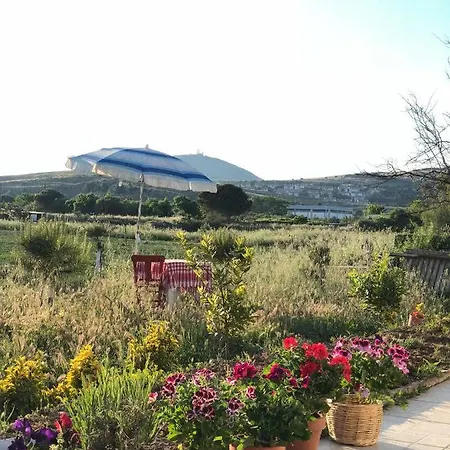 Radika Kir Evi * بوزجادا